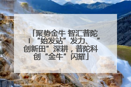 聚势金牛 智汇普陀〡“始发站”发力、“创新田”深耕，普陀科创“金牛”闪耀